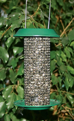 Mini Magnum Black Oil Sunflower Bird Feeder, 1 Pint Capacity