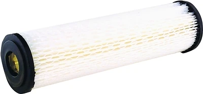 Rs1-ds12-s18 Whole House Water Filter Cartridge, 5 Gpm, 20 µm, 2 Pack