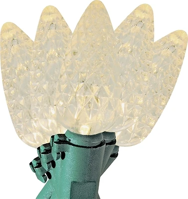 09528 Led C6 String Lights, Clear, 25 Lights, Pack Of 24