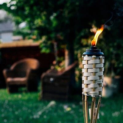 Barbados Bamboo Torch, 57 In.