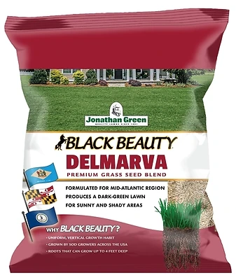 Jonathan Green 10391 Black Beauty Delmarva Mix Grass Seed, Tall Fescue, 7 Lbs.