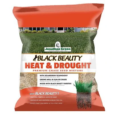 Black Beauty Heat & Drought Grass Seed, 3 Lbs.