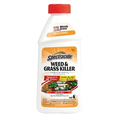 Spectracide HG-66001 Weed & Grass Killer Concentrate, 16 oz
