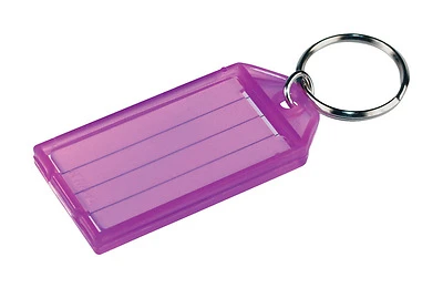Hard Plastic ID Tags with Ring (5-Pack)