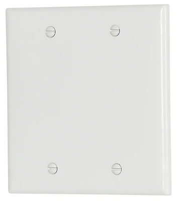 Eaton Cooper Wiring 2137W-BOX 2-Gang Blank Wall Plate, Thermoset, White