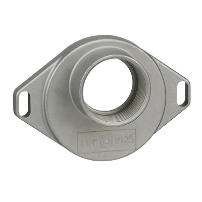 Square D B125 Raintight Conduit Hub, 1-1/4 In, Aluminum
