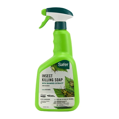 Safer Brand 5110-6 Insect Killing Soap, Seaweed Extract, 32 Oz