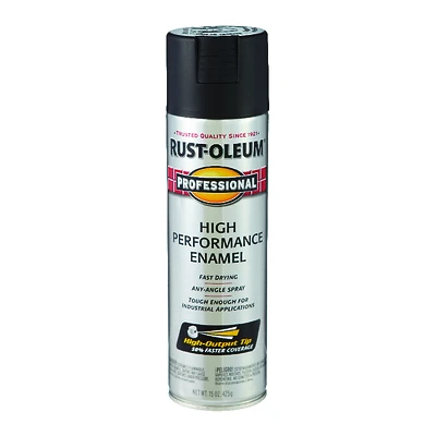 Rust-Oleum 7578838 Professional Spray Enamel, Flat Black, 15 Oz