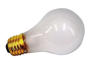 LIGHT BULBS 100 WATT 12V