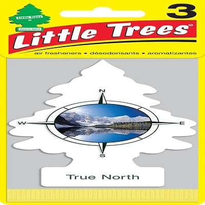 Little Trees U3S-37146 True North Scent Solid Air Freshener, 3-Pack