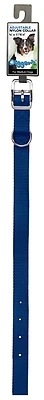 Pdq 2971602 Blue Nylon Dog Collar, 3/4" Width, 16" Length