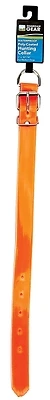 2151724 Poly-coated Dog Collar, 1 In W X 17 In L, 10 Units