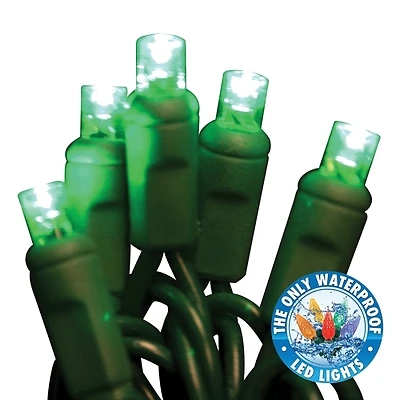Ledbx-wa50-gr6 50-lamp Green Led Light Set, 26 Ft, 50,000 Hr Life