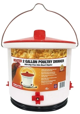 Farm Innovators HB-60P Heated Poultry Drinker, 2 Gallon