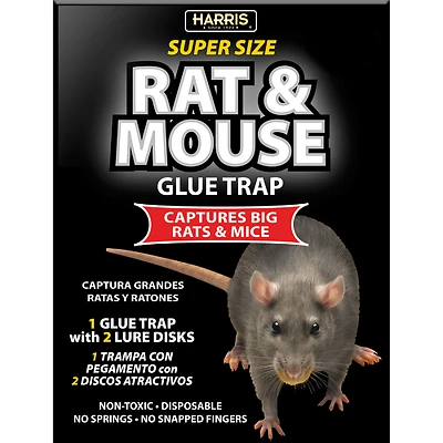 Super Size Rat & Mouse Glue Trap Blkrat-1 With 2 Lure Disks, 1 Pk