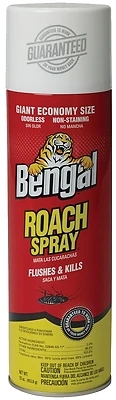 Roach Killer Spray, 16-oz.