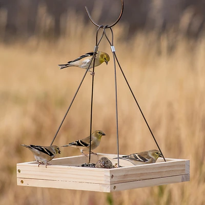Perky-pet Wild Bird 1.6 Lb Wood Hanging Tray Bird Feeder With 1 Port