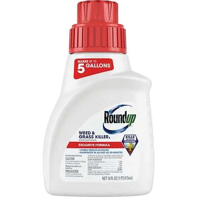 Roundup 5376712 Weed & Grass Killer Concentrate Plus, 16 Oz.