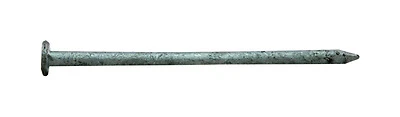 Pro-Fit 0054098 Common Nail 4D, 1-1/2 In., Hot-Dipped Galvanized, 1 Lb