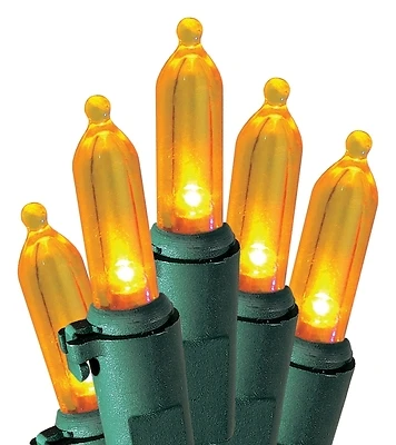 Holidaybasix U10e406g 50l Orange Led Mini Light Set, 24 Pk, 13.58 Ft, 120v