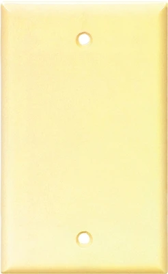 Cooper Wiring 2129V-BOX 1-Gang Blank Wall Plate, Thermoset, Ivory