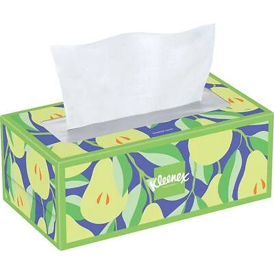 Facial Tissue, 2-Ply, White, 160-Ct.