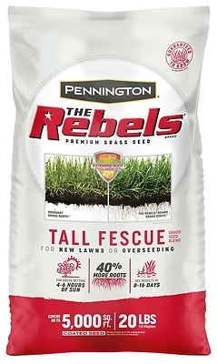 Rebel Fescue Grass Seed, 20 Lbs.