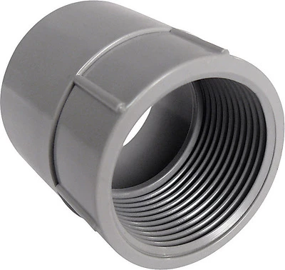 Cantex 3/4 in. Dia. PVC Female Adapter 1 pk