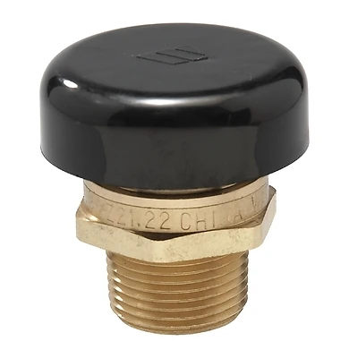 Watts LFN36-M1 Water Service Vacuum Relief Valve, Lead-Free, 1/2 In.