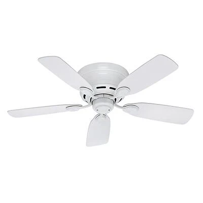 Low Profile Iv 42 In. White Indoor Ceiling Fan With 5 Blades