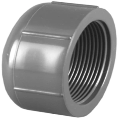 Charlotte Pipe PVC 08117 Schedule 80 PVC FPT Cap, 1 In., Gray