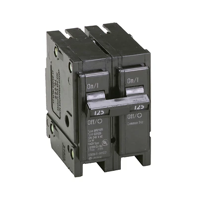 Interchangeable Circuit Breaker, Double Pole, 125A, 120/240-Volt