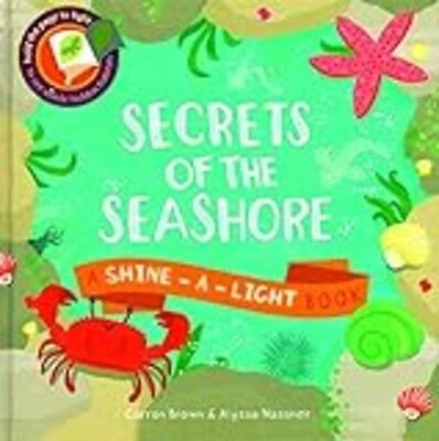 Secrets Of The Seashore Book For Kids By Carron Brown - Shine-a-light Edition