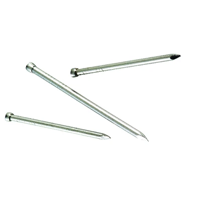 Simpson Strong-tie 8d 2-1/2 In. Finish Stainless Steel Nail Brad Head 146 Pk 1 Lb