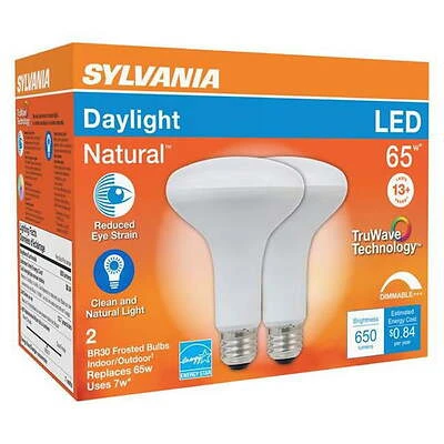 Truwave Br30 E26 Led Floodlight Bulb 65w Equivalent Daylight 5000k 2 Pk
