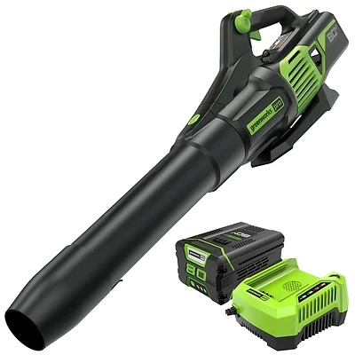 Cordless 80-Volt Axial Leaf Blower, 145-MPH/580 CFM, 2.0Ah, Battery & Charger