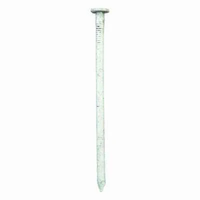 30d 4-1/2 In. L Common Hot-dipped Galvanized Steel Nail Flat Head 50 Lb