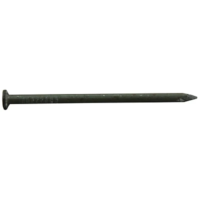 16d 3-1/2 In. Common Bright Steel Nail Smooth Shank 25 Lb Pail