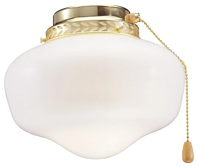 9 Inch Schoolhouse Light Kit With Polished Brass Finish And Cfl Bulb
