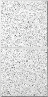 Radar Basic Illusion 2/24 Non-directional Ceiling Panel 48 In. L X 24 In. W