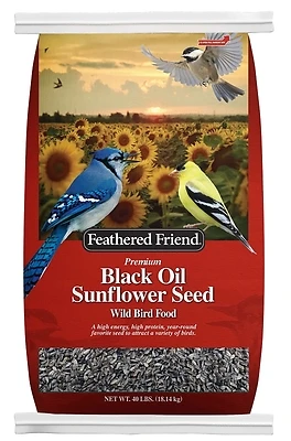Feathered Friend 14422 Black Oil Sunflower Seed Bird Food, 40 Lb Bag