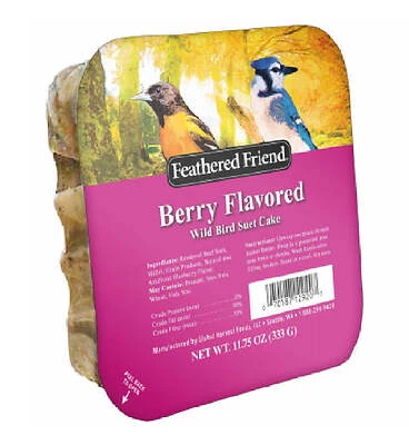 Berry Flavored Suet Wild Bird Food, 11.75 Oz. - High-energy Treat