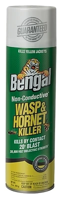 Non-Conductive Wasp & Hornet Killer, 15-oz. Aerosol