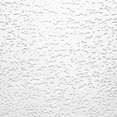 USG Tivoli Smooth 12 in. L x 12 in. W 0.5 in. Staple Wood Fiber Ceiling Panel 1 pk