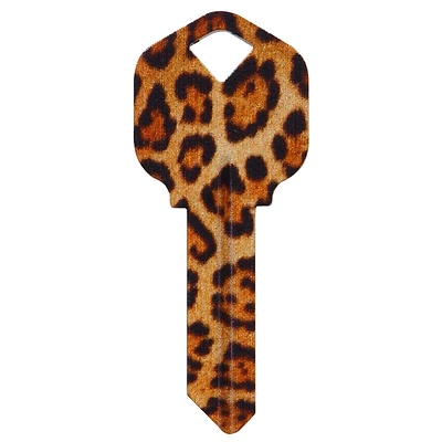 Hillman Brass House/Entry Key Blank