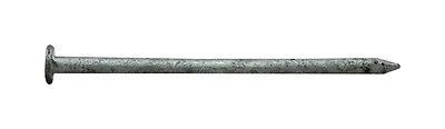 2-1/2 In. 8d Hot-dipped Galvanized Steel Nails 5 Lb Boxed - Model 0054155