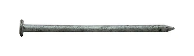 3 In. 10d Hot-dipped Galvanized Steel Common Nails 5 Lb Boxed