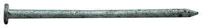 16d 3-1/2 In. Hot-dipped Galvanized Steel Common Nail 1 Lb