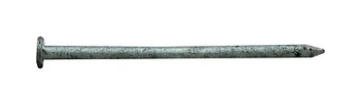 Pro-Fit 0054188 12D Common Nail, 3-1/4 In, Hot-Dipped Galvanized, 1 Lb