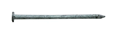 12d 3-1/4 In. Bright Steel Common Nail, 5 Lb Box, Model 0053185
